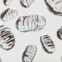 Por Que Tomar Polivitamínico é Importante para Sua Saúde?